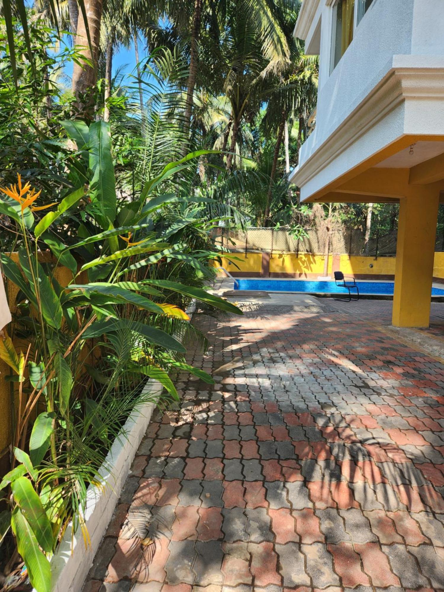 Luxury 2Bhk Apartment Near Calangute Baga Beach With Pool Kültér fotó